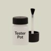 Pantone 5665 Paint Tester Pot