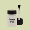 Pantone 580 Paint Tester Pot