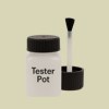 Pantone 5803 Paint Tester Pot