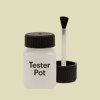 Pantone 5807 Paint Tester Pot