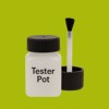 Pantone 583 Paint Tester Pot