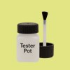 Pantone 586 Paint Tester Pot