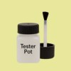 Pantone 587 Paint Tester Pot