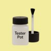 Pantone 601 Paint Tester Pot