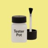 Pantone 602 Paint Tester Pot