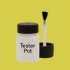 Pantone 611 Paint Tester Pot