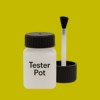 Pantone 612 Paint Tester Pot