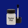 Pantone 662 Paint Tester Pot
