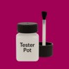 Pantone 676 Paint Tester Pot
