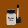 Pantone 724 Paint Tester Pot