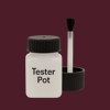RAL 010 20 25 Paint Tester Pot