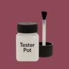 RAL 010 40 30 Paint Tester Pot