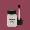 RAL 010 40 35 Paint Tester Pot