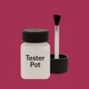 RAL 010 40 50 Paint Tester Pot