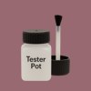 RAL 010 50 20 Paint Tester Pot