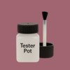 RAL 010 50 25 Paint Tester Pot