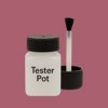 RAL 010 50 30 Paint Tester Pot