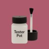 RAL 010 50 35 Paint Tester Pot