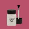 RAL 010 50 45 Paint Tester Pot