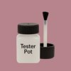 RAL 010 60 20 Paint Tester Pot