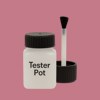 RAL 010 60 30 Paint Tester Pot