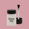 RAL 010 70 20 Paint Tester Pot