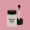 RAL 010 70 25 Paint Tester Pot