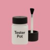 RAL 010 70 30 Paint Tester Pot