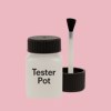 RAL 010 80 20 Paint Tester Pot