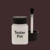 RAL 020 20 10 Paint Tester Pot