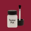 RAL 020 30 48 Paint Tester Pot