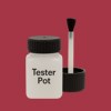 RAL 020 40 50 Paint Tester Pot
