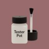 RAL 020 50 20 Paint Tester Pot