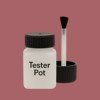 RAL 020 50 30 Paint Tester Pot