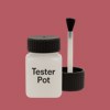 RAL 020 50 40 Paint Tester Pot