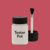 RAL 020 50 50 Paint Tester Pot