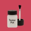 RAL 020 50 58 Paint Tester Pot