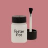 RAL 020 60 30 Paint Tester Pot