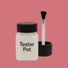 RAL 020 60 40 Paint Tester Pot