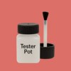 RAL 030 60 50 Paint Tester Pot