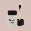 RAL 040 80 10 Paint Tester Pot