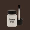 RAL 050 20 10 Paint Tester Pot