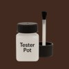 RAL 050 20 16 Paint Tester Pot