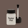 RAL 050 40 10 Paint Tester Pot