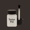 RAL 060 20 05 Paint Tester Pot