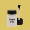 RAL 090 80 50 Paint Tester Pot