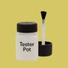 RAL 095 80 50 Paint Tester Pot