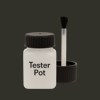 RAL 100 20 05 Paint Tester Pot