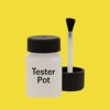 RAL 1016 Sulfur Yellow Paint Tester Pot