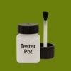 RAL 110 50 55 Paint Tester Pot